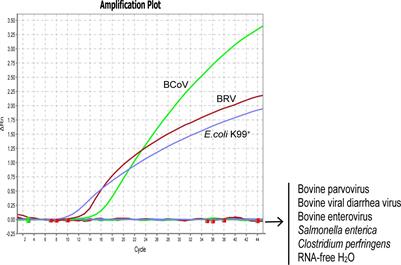 Development and application of one-step multiplex Real-Time PCR for detection of three main pathogens associated with bovine neonatal diarrhea
